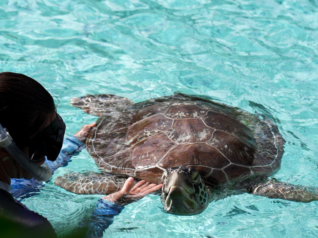 Eco Center Bora Bora-波拉波拉岛必去景点