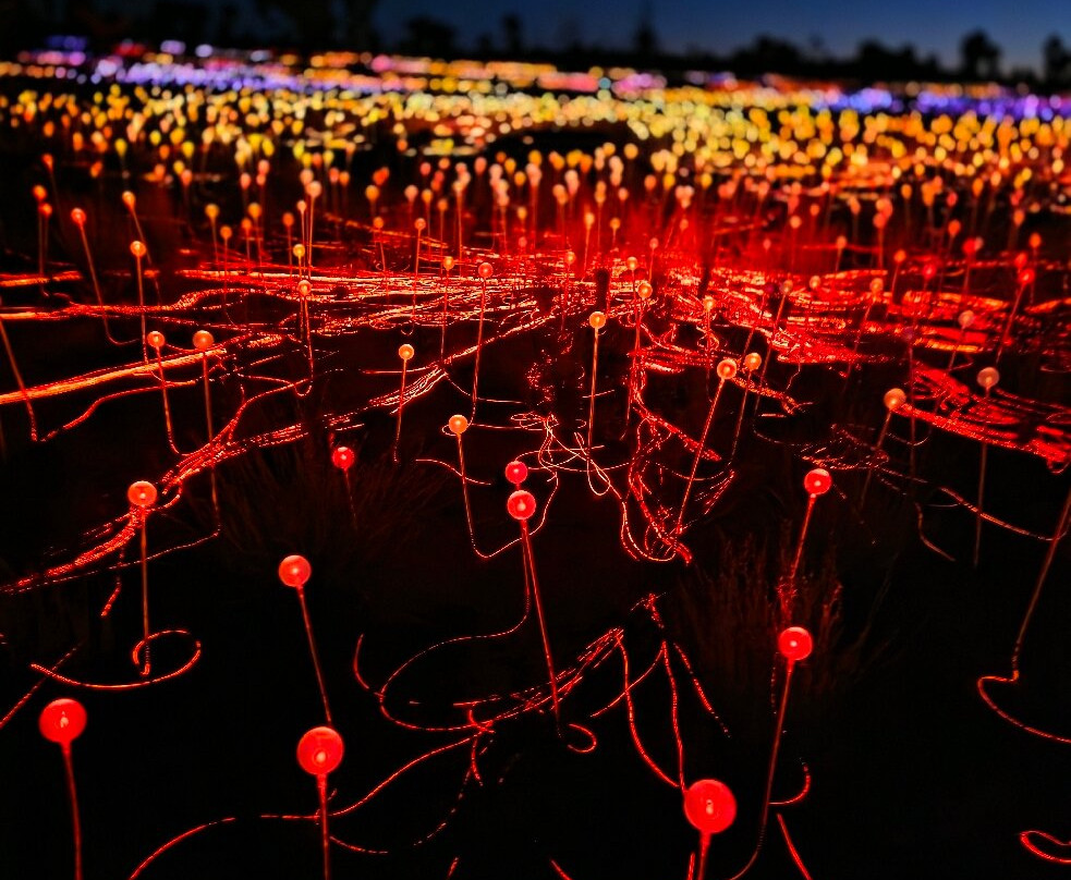 Field of Light-乌鲁鲁-卡塔丘塔国家公园必去景点