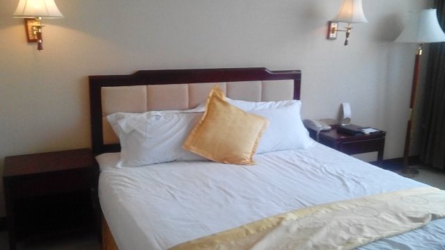 凤山国际大酒店-客卧