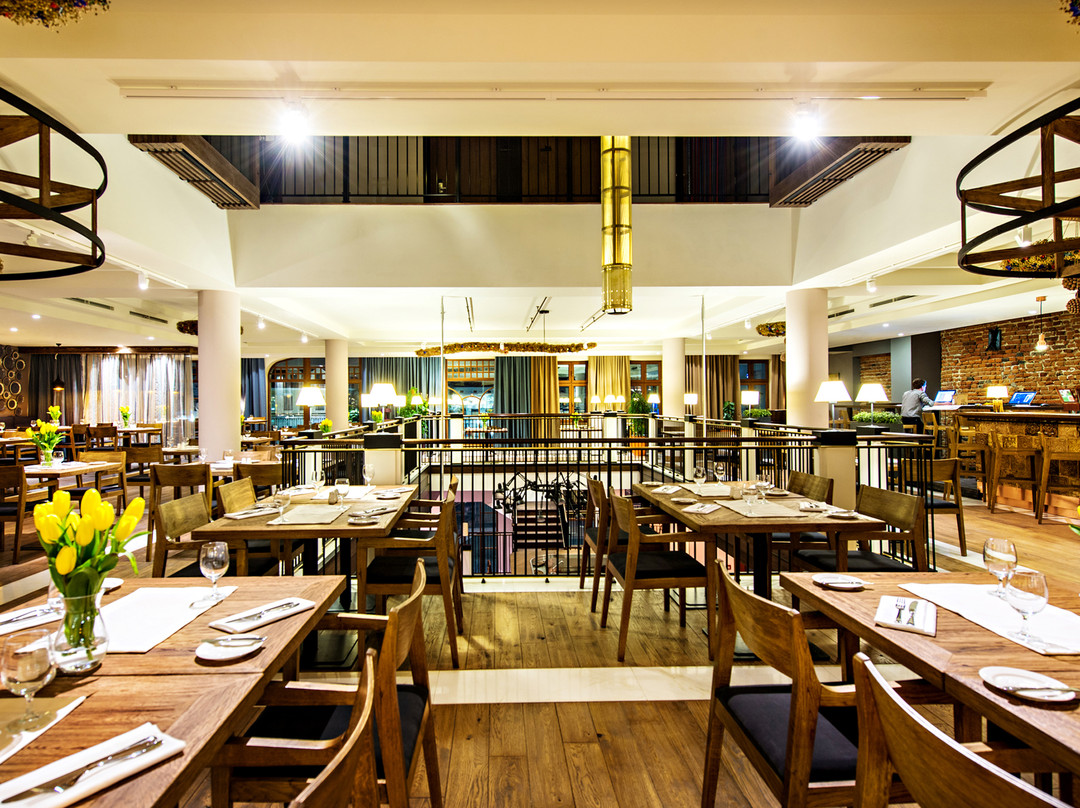 热舒夫酒店住宿-Hotel Bristol -Tradition and Luxury