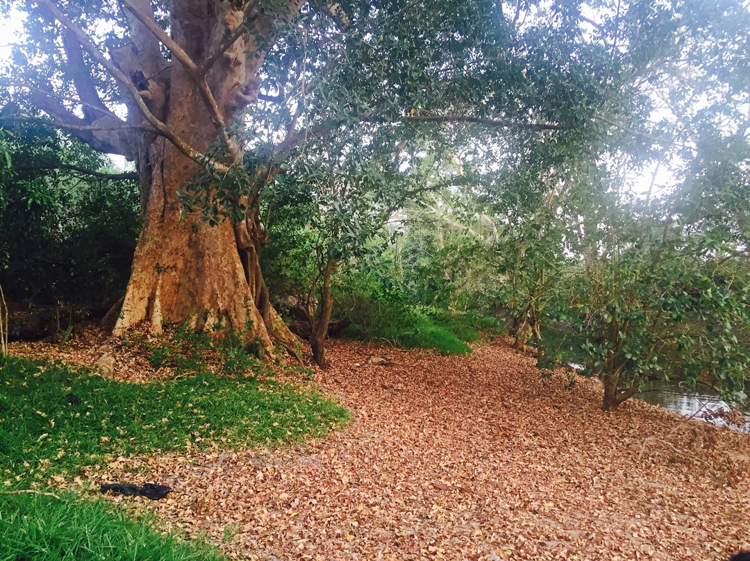 Palmyrah Garden Hotel主图