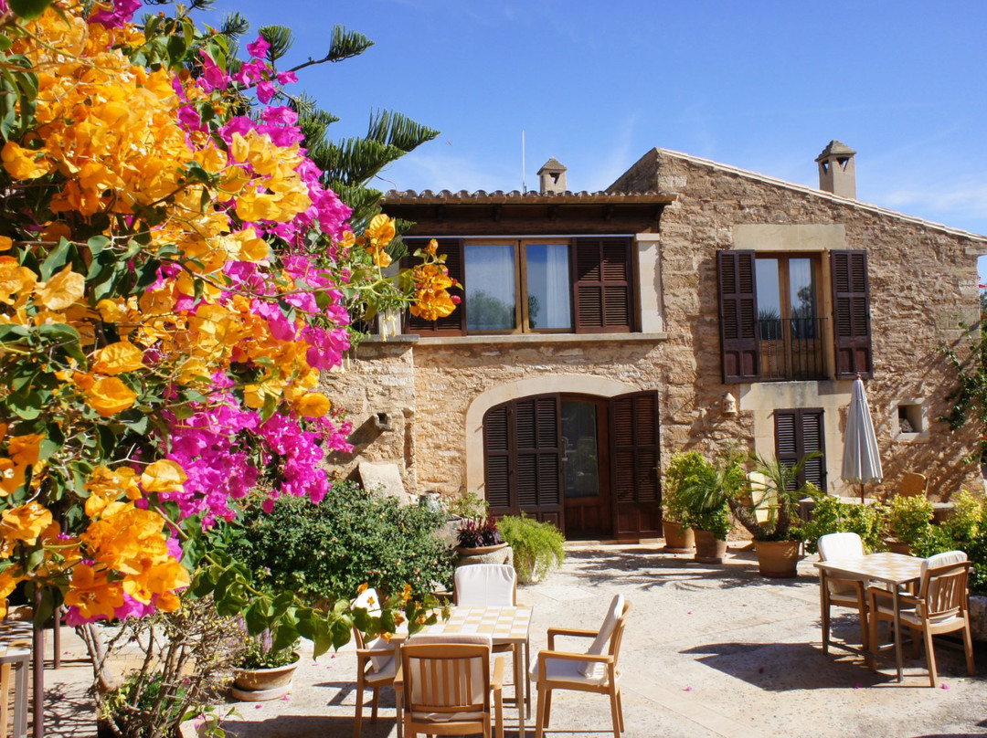 Ses Salines酒店住宿-Sa Carrotja, Finca d'Agroturisme