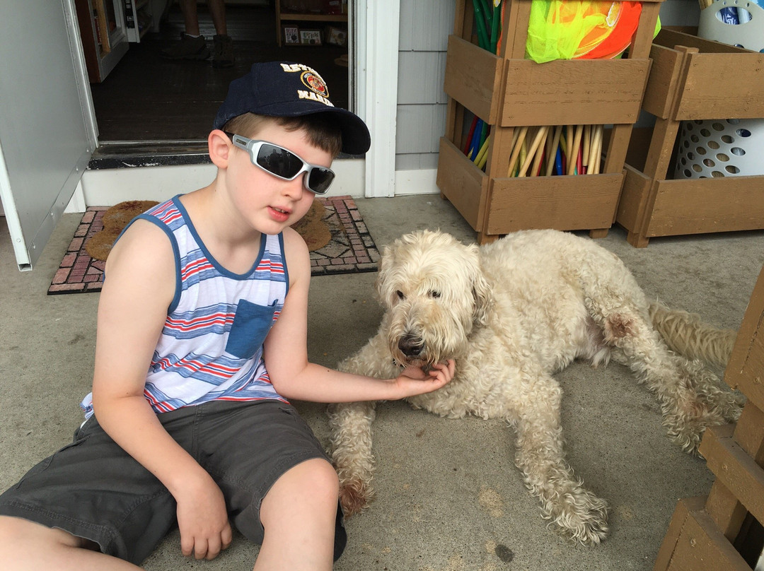 Watch Hill Harbour House