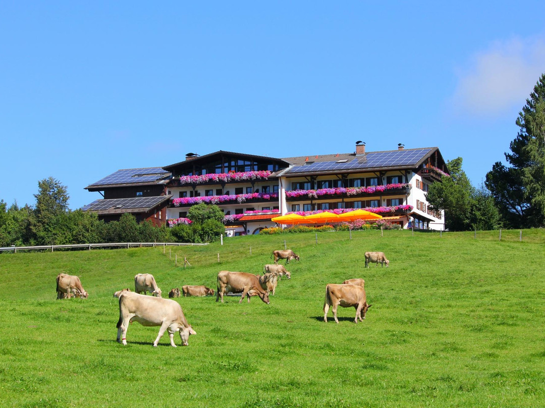 Rosshaupten旅游攻略图片
