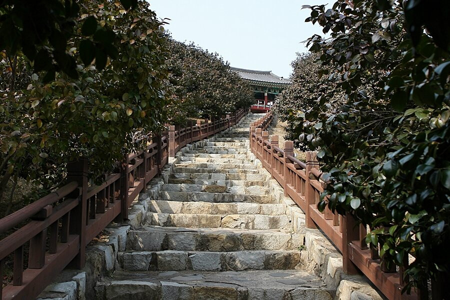 Seocheon Maryang-ri Camellia Forest景点图片