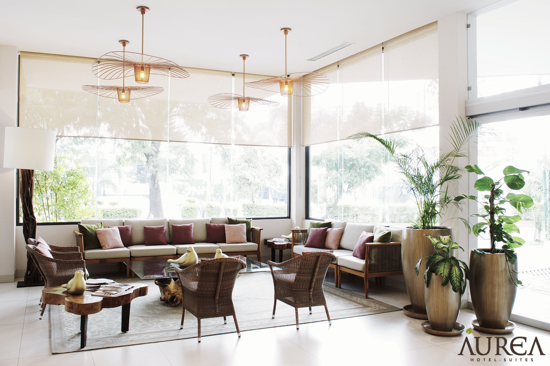 Áurea Hotel & Suites-官方