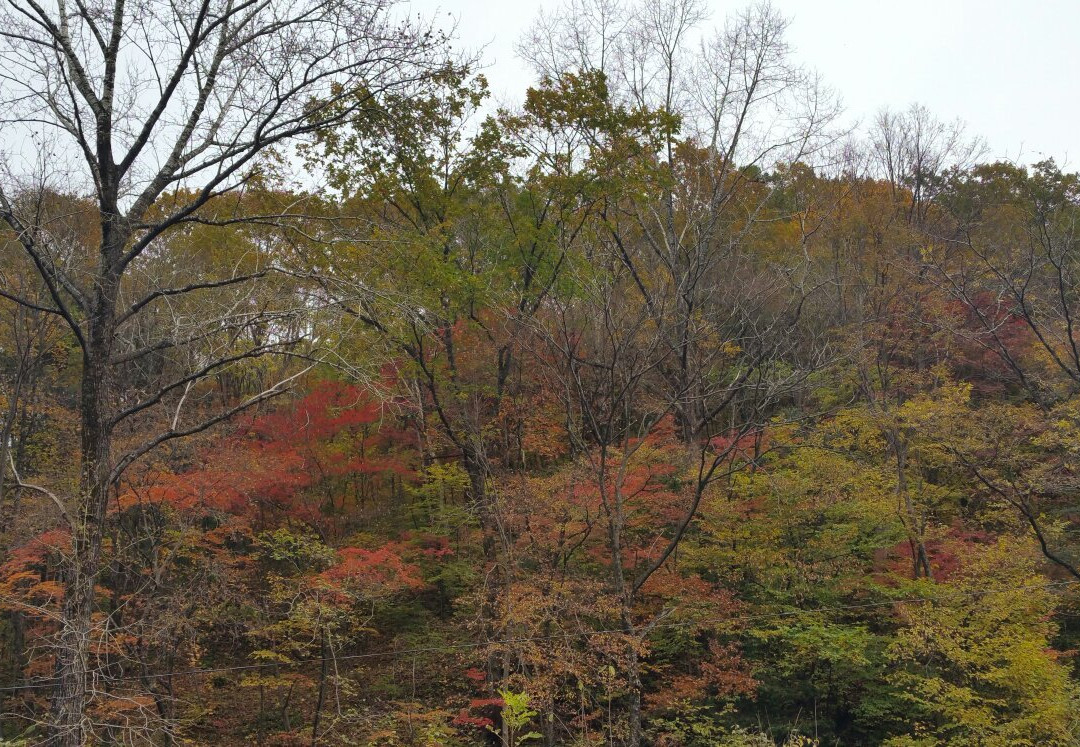五女峰国家森林公园-通化市必去景点
