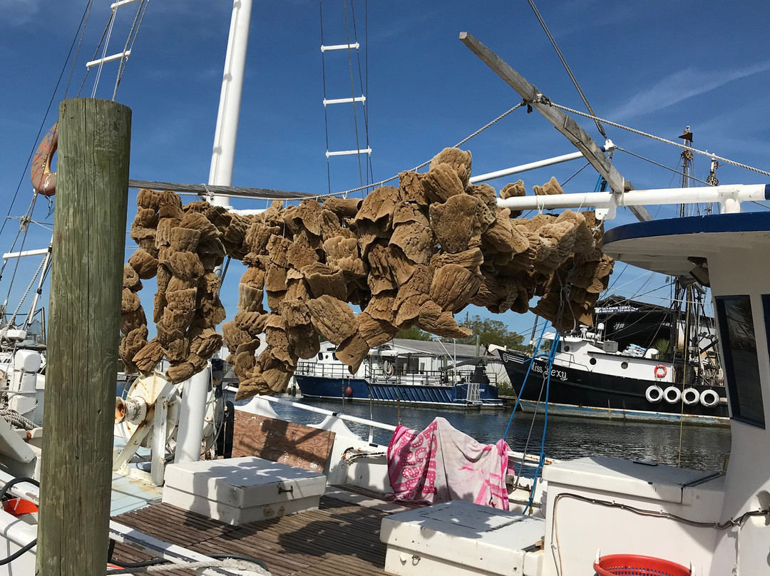 Tarpon Springs Sponge Docks-塔彭斯普林斯必去景点