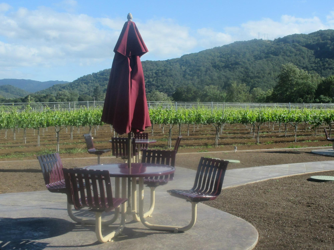 Sycamore Creek Vineyards