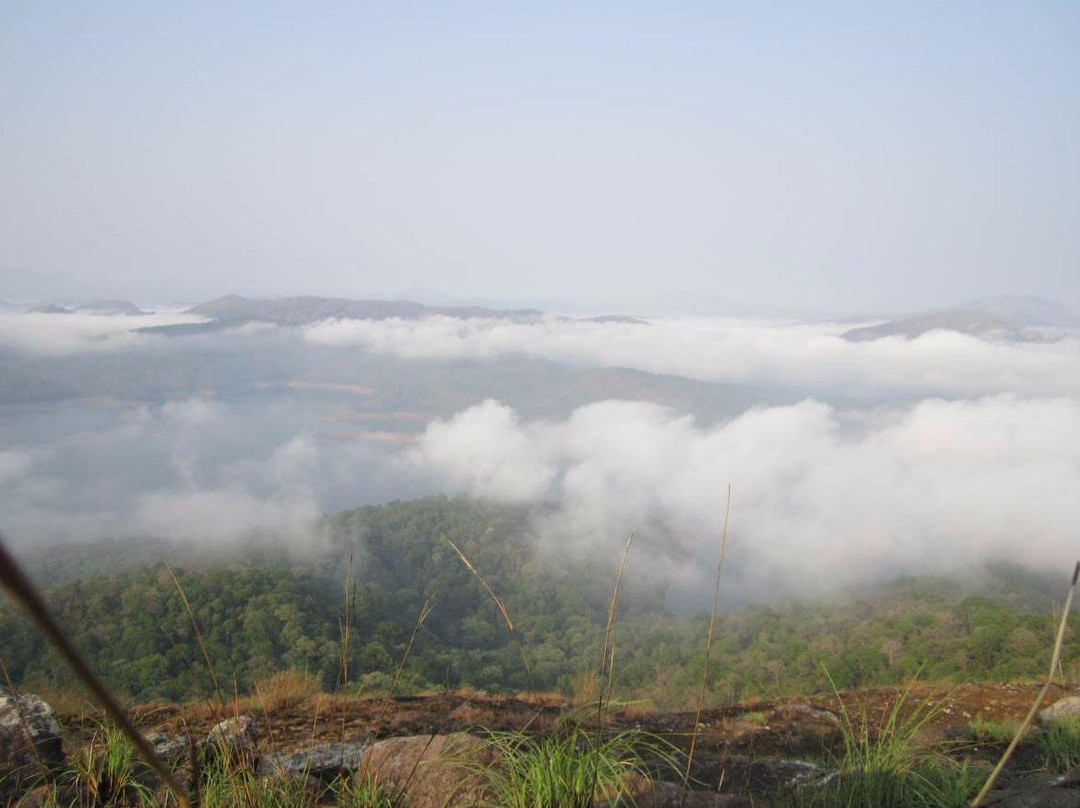 Kalyanathandu Hills景点图片