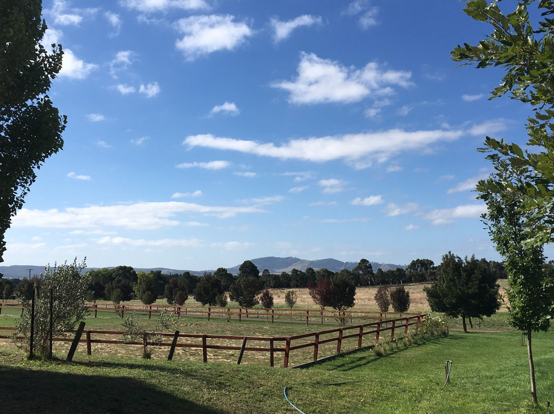 马其顿山区旅游景点-Curly Flat