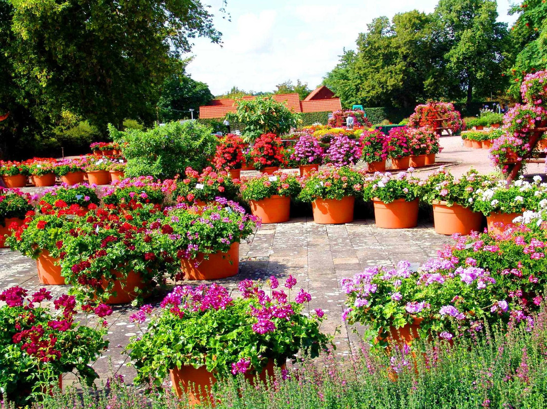 Egapark Erfurt-爱尔福特必去景点