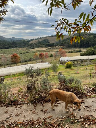 Viveiro Frutopia-Sao Bento do Sapucai必去景点