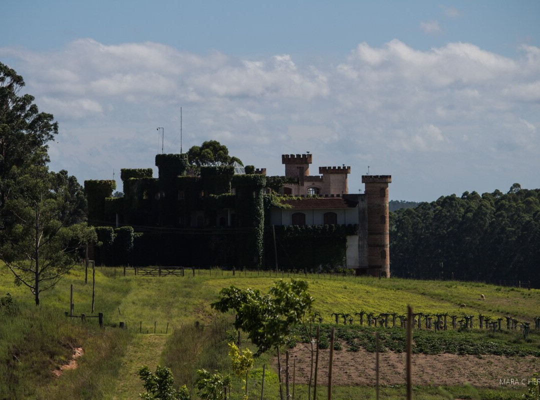 Castelo do Pampa景点图片