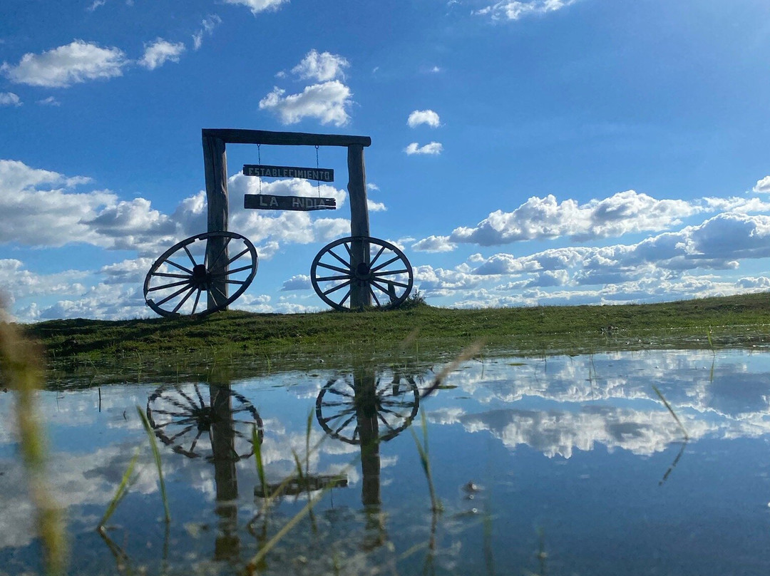 La India - Somos Naturaleza-Florida必去景点