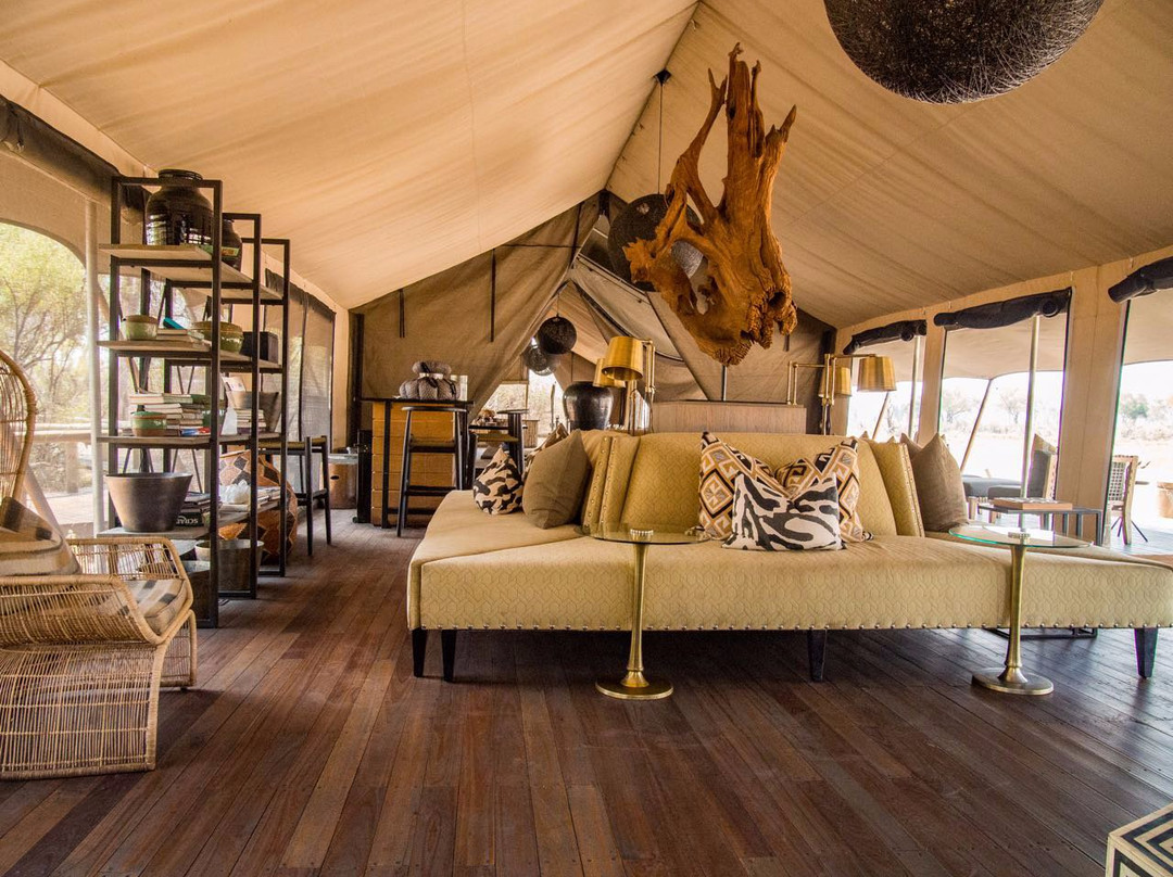 Gomoti Plains Camp - Machaba Safaris主图