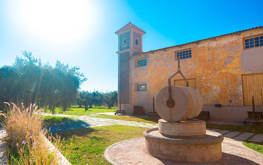 Olivicola Laur-Maipu必去景点