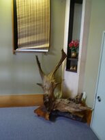 Gyozantei Yamabuki主图