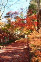 Kinzoin-佐野市必去景点