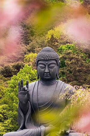 Gagwonsa Temple-天安市必去景点