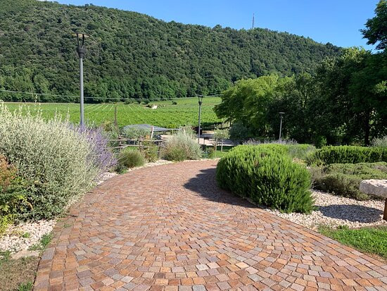 Agriturismo La Pertica主图