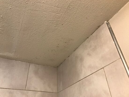 霍普金斯维尔费尔菲尔德旅馆&套房酒店主图