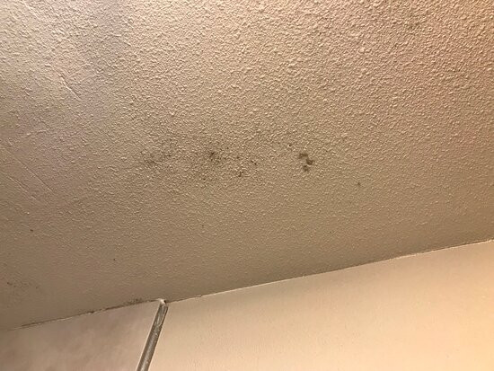 霍普金斯维尔费尔菲尔德旅馆&套房酒店主图