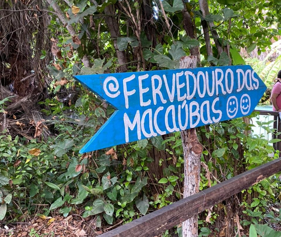 Fervedouro Das Macaúbas-Mateiros必去景点