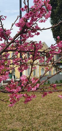Centro Histórico de Antônio Prado-Antônio Prado必去景点