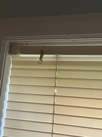 Sea Turtle Inn主图