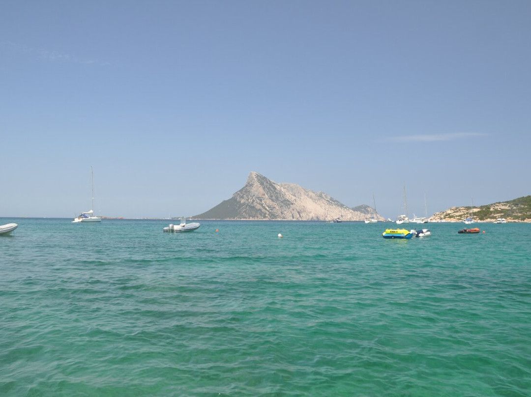 Spiaggia Delle Vacche-Baia Sardinia必去景点