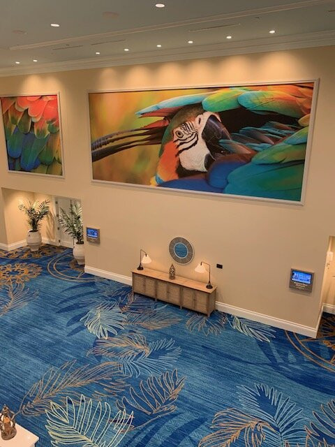 Margaritaville Resort Orlando主图