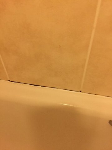 TLH Toorak Hotel-浴室