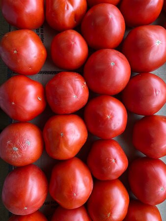 Troyers Country Market-Millersburg必去景点