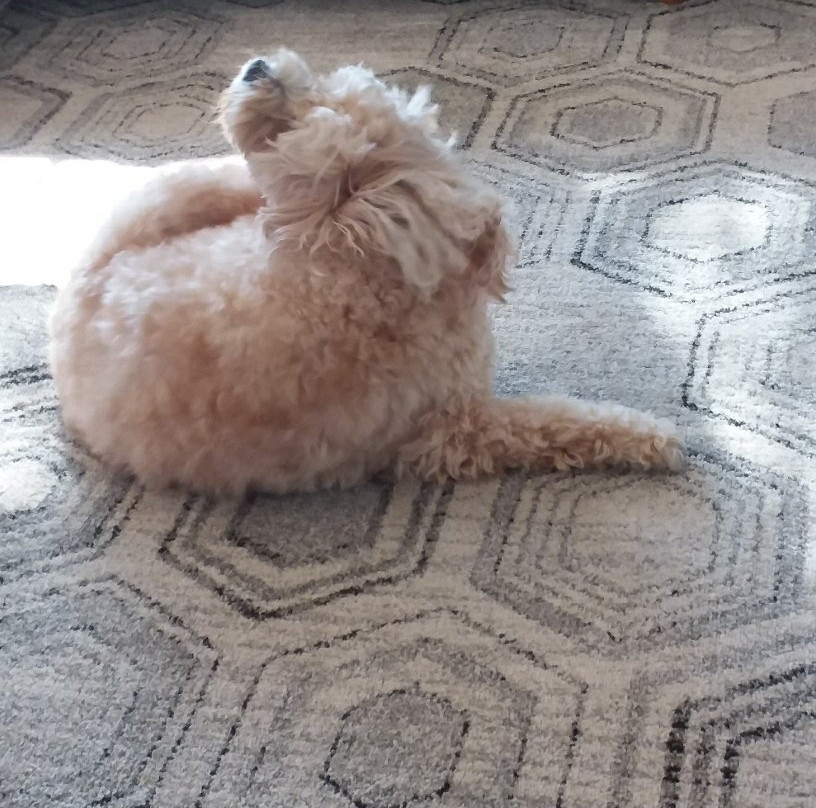 Yileena Park-亚拉格林必去景点