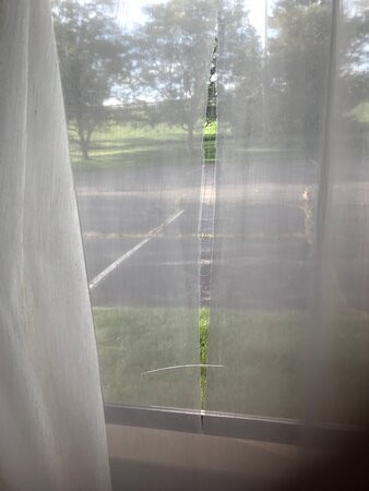 Clarion Inn & Suites - University Area主图