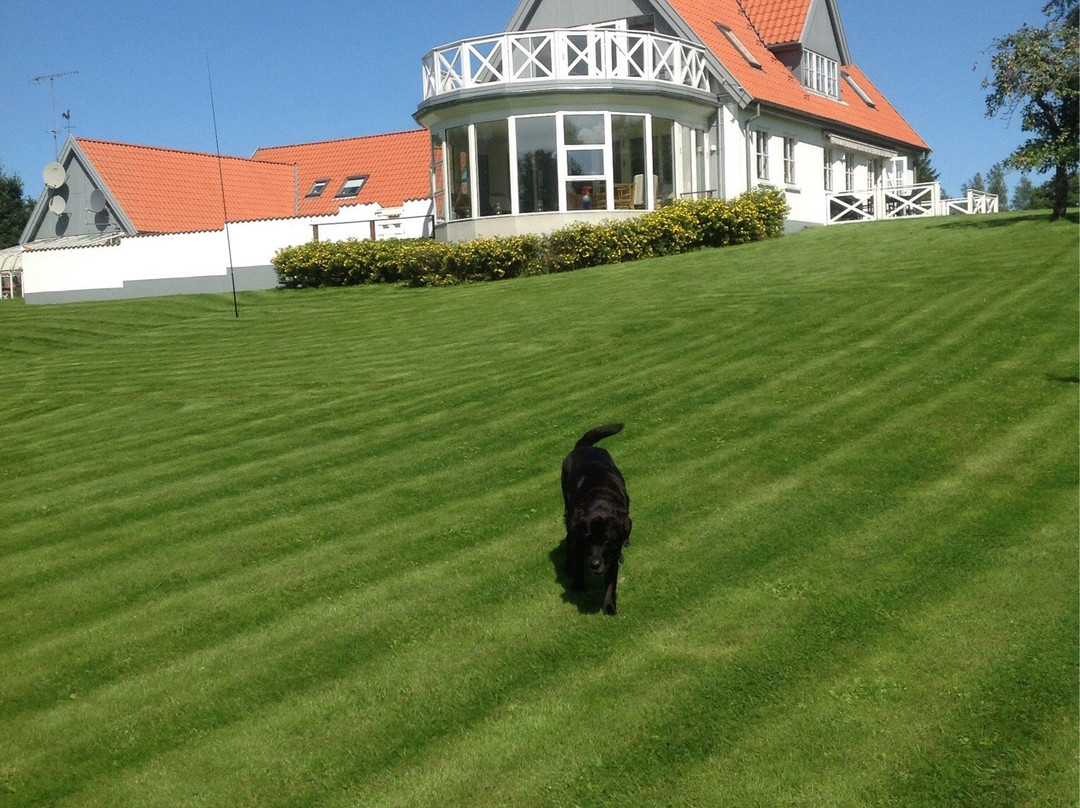 Horsholm Bed & Breakfast Flintebjerg主图