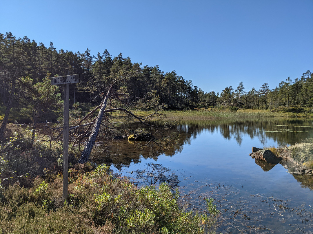 Bjønndalen Camp