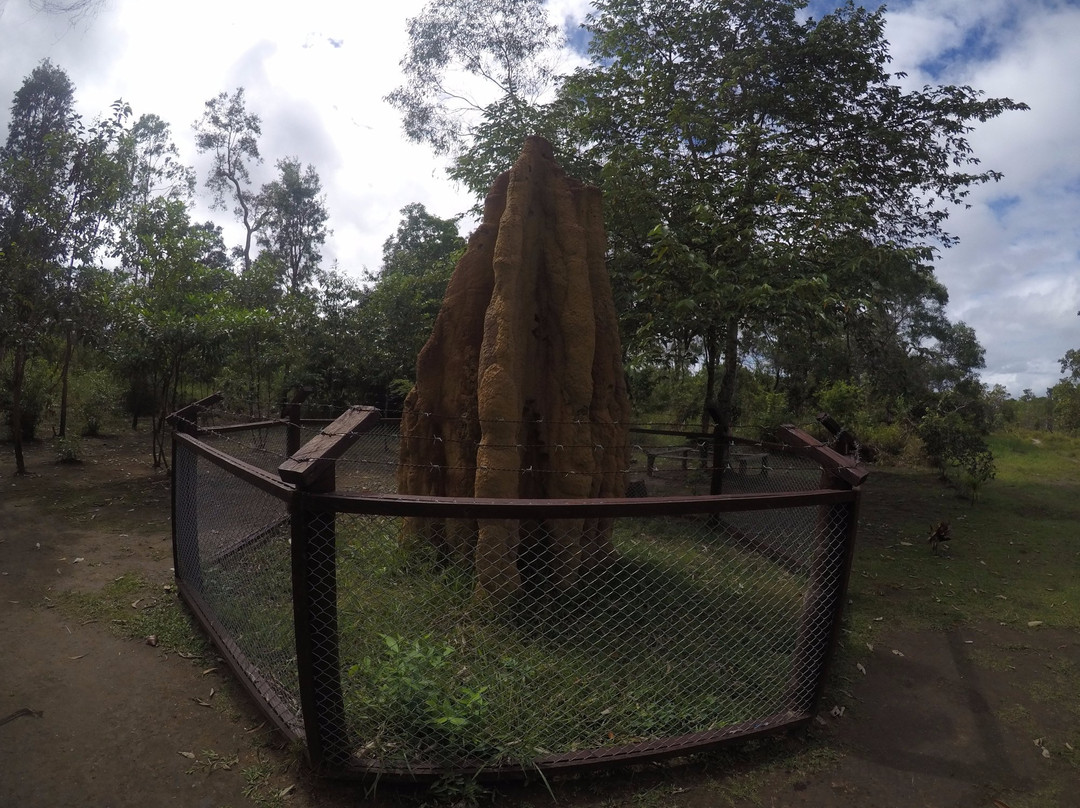 马老奇旅游景点-Wasur National Park