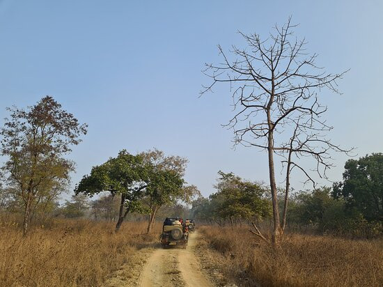 Panna National Park景点图片