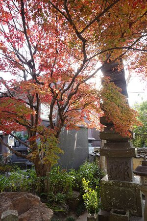 Kenshozenji Temple景点图片