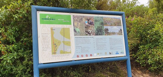Pekapeka Wetlands景点图片