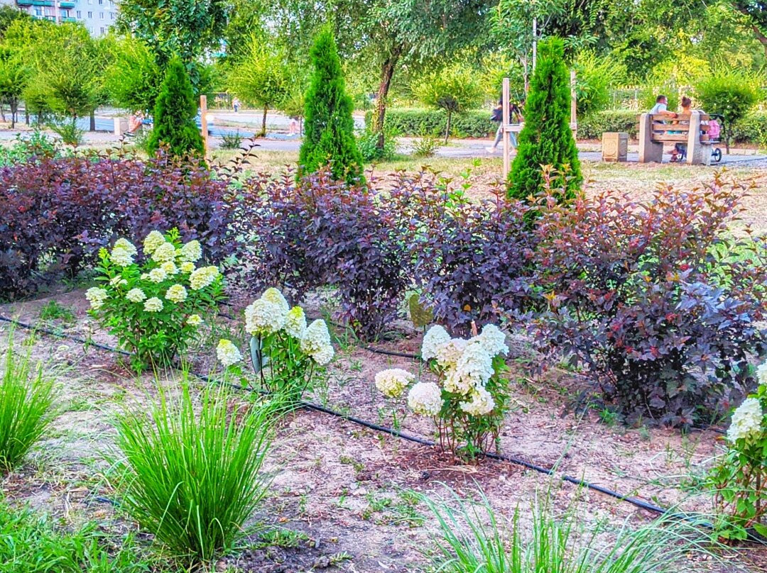 Ivonin Park-Severodonetsk必去景点