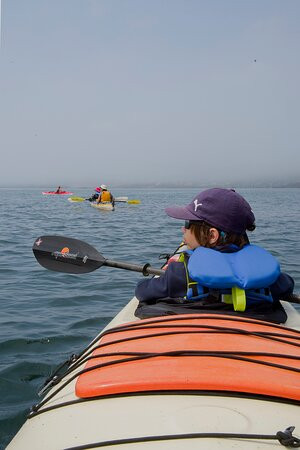 Seascape Kayak Tours Inc.景点图片