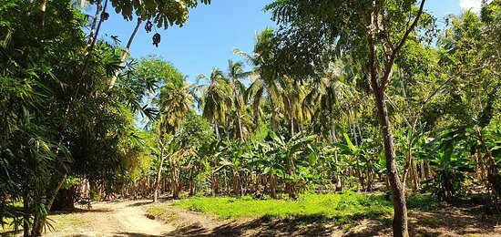 Quebrada Valencia-圣玛尔塔必去景点