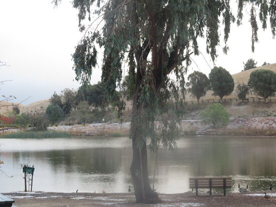 艾德莱文县公园-米尔皮塔斯必去景点