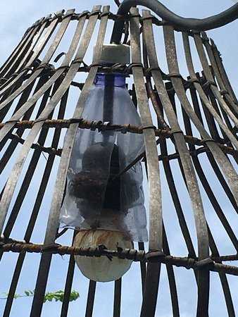 布里斯酒店主图