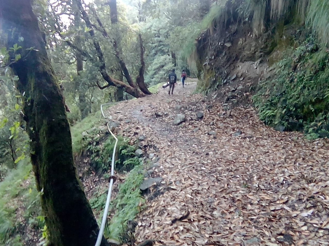 Chogan旅游攻略图片