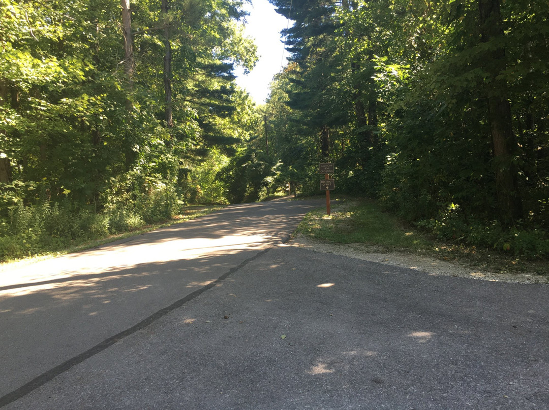 Sunbury旅游攻略图片