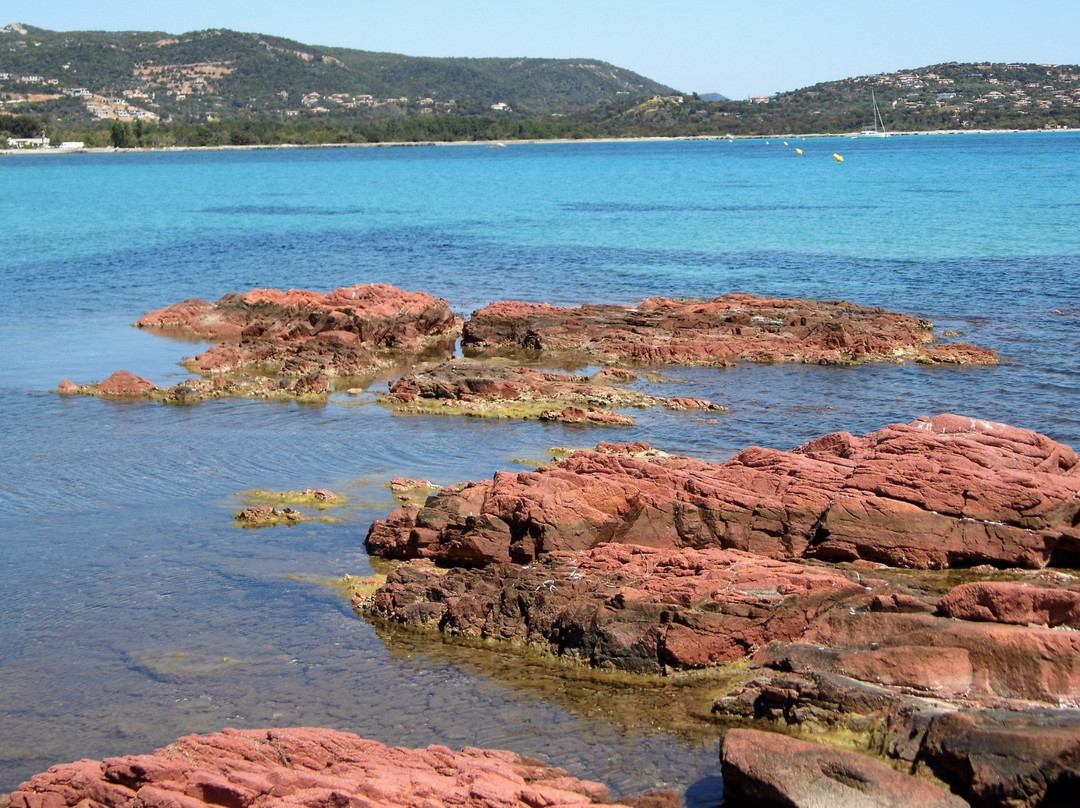 Lecci旅游攻略图片